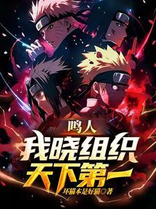 鸣人我也没说这是正经火影啊