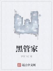 黑管家白转黑有成功的吗