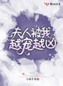 夫人被你宠坏