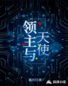 领主和大师中文版