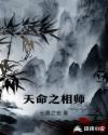 天命相师秦九