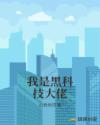 我黑科技大佬开局制造核聚变