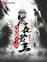 从傀儡皇子到黑夜君王百科