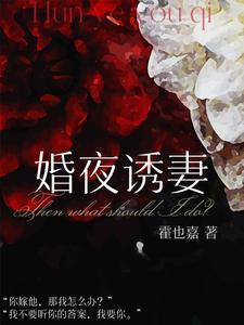 婚夜诱妻