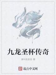 九龙圣杯传奇