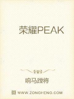 荣耀PEAK