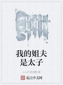 我的姐夫是太子