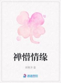 禅懵情缘