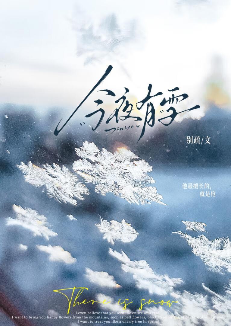 今夜有雪