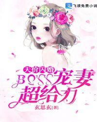 天价闪婚:BOSS宠妻超给力