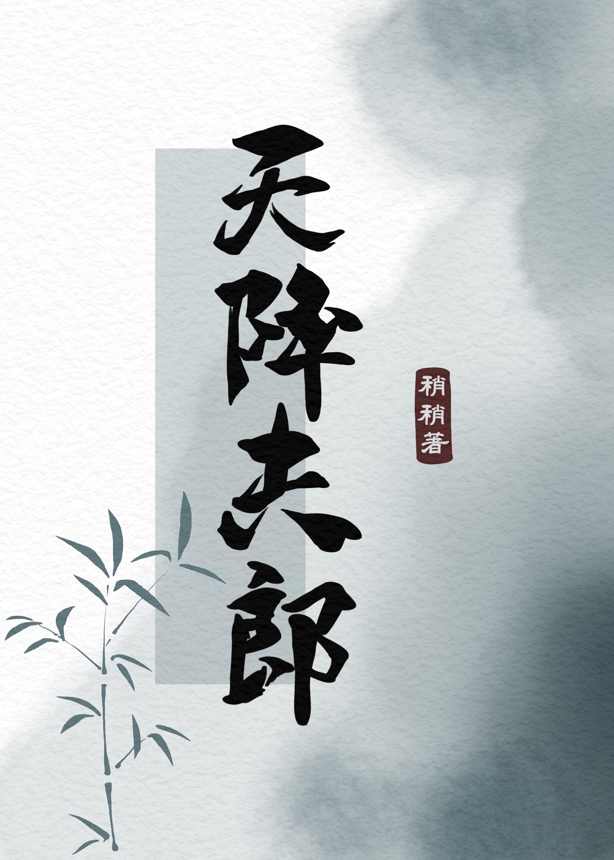 天降夫郎