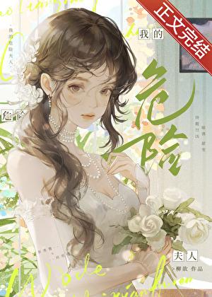 我的危险夫人