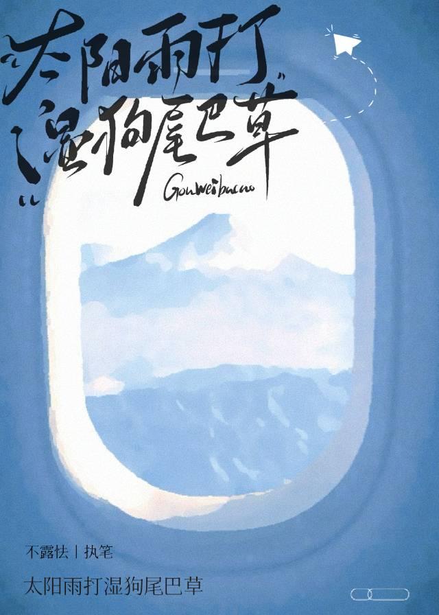 太阳雨打湿狗尾巴草